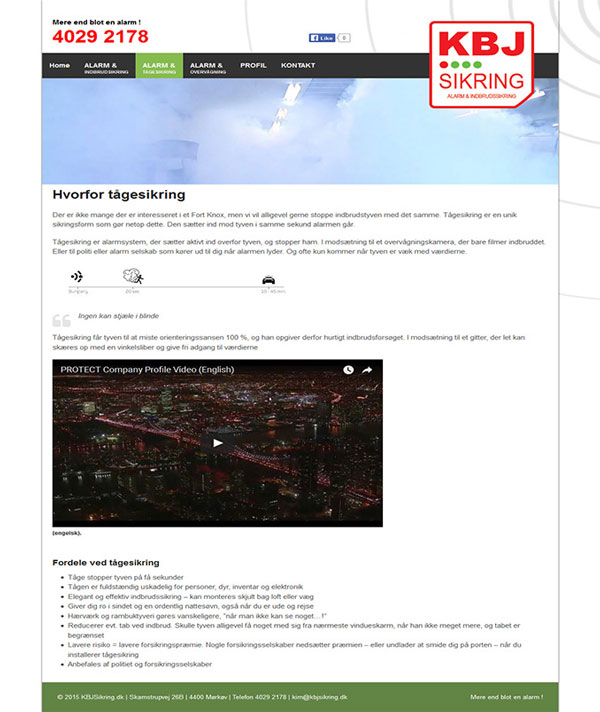 Website design in Denmark