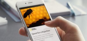 Instant article screen fast for display