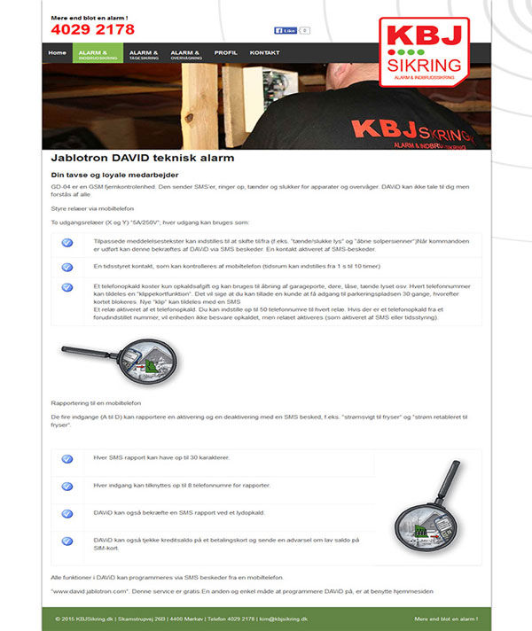 Website design in Denmark