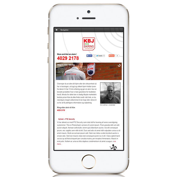 Website design in Denmark